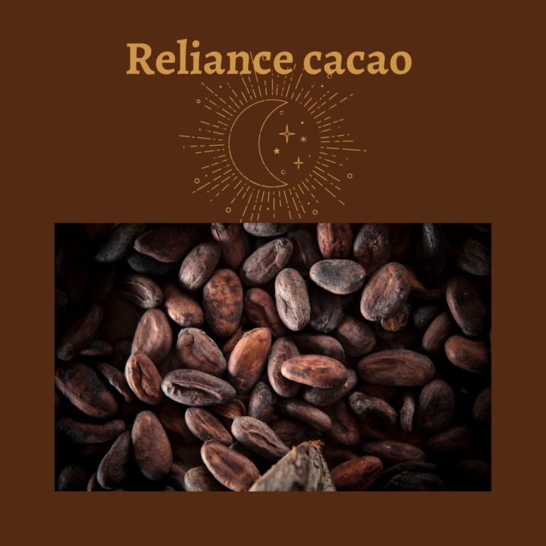 Reliance à la plante médecine cacao en inviduelle ou en groupe, extrêmement bienfaisante pour le chakra coeur