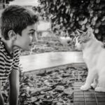 Illustration d'une communication animale intuitive entre un enfant et un chat