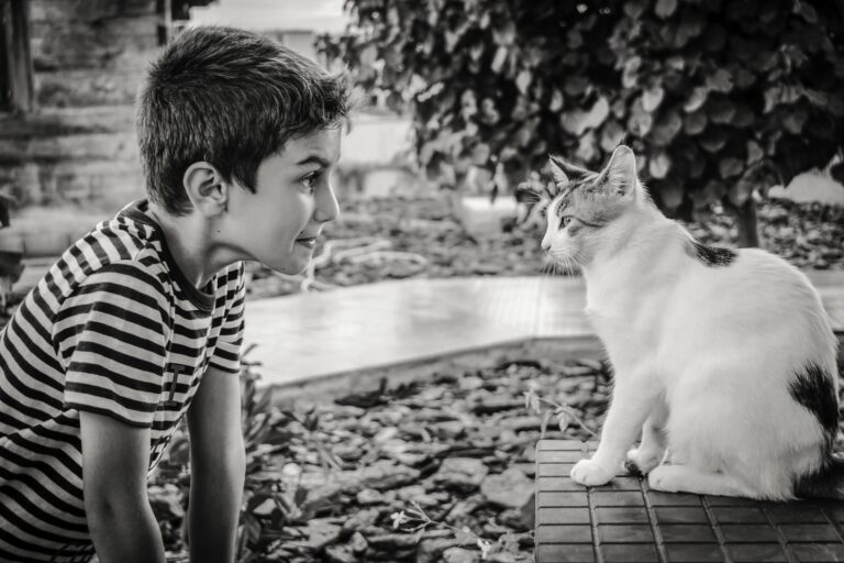 Illustration d'une communication animale intuitive entre un enfant et un chat