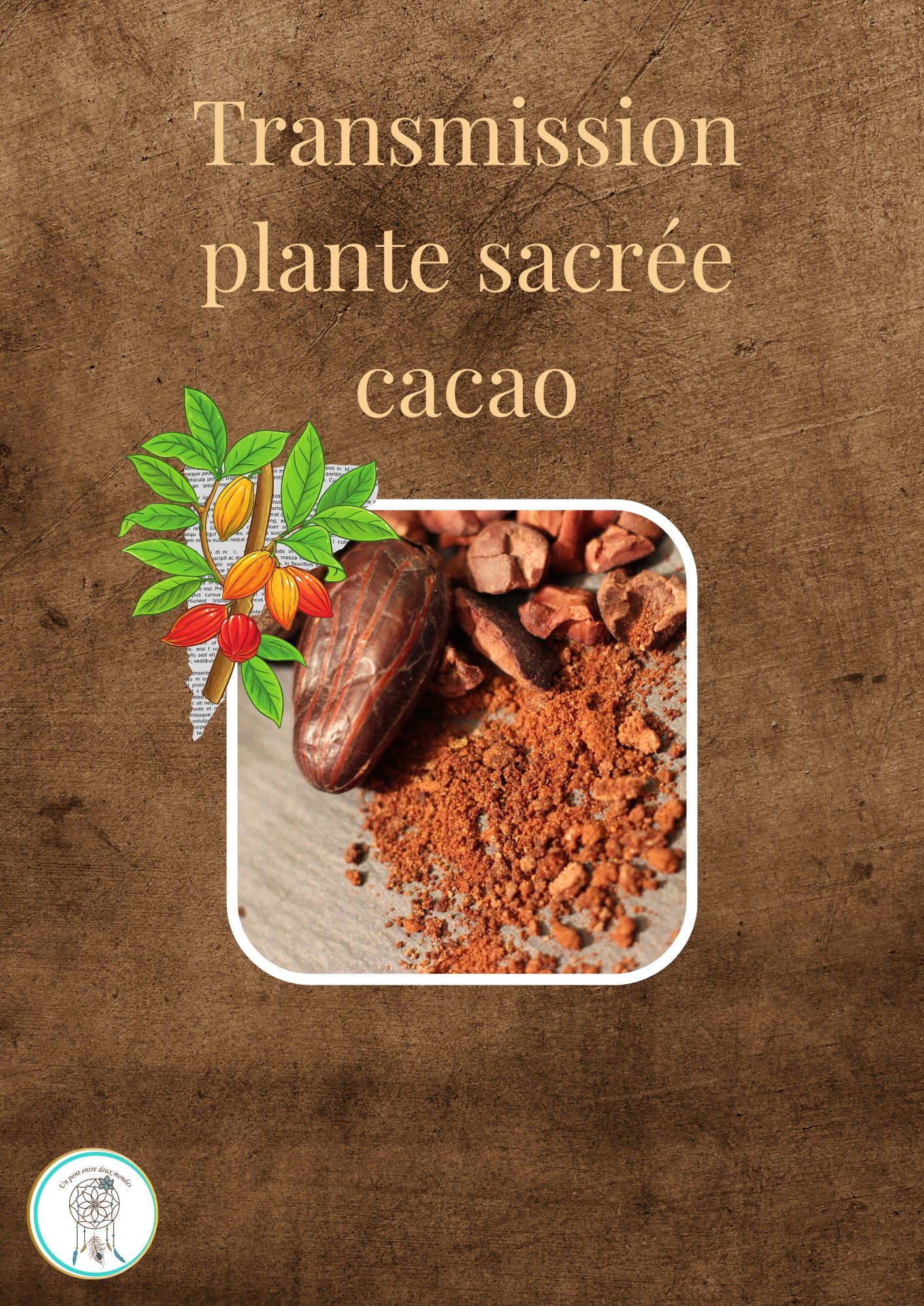 Enseignement plante sacrée cacao