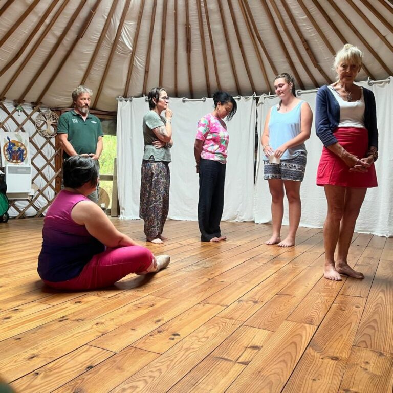 Exemple de séances de constellations familiales collectives en Ardèche